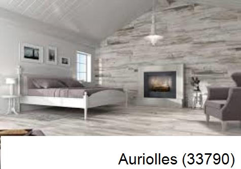Peintre revêtements et sols Auriolles-33790
